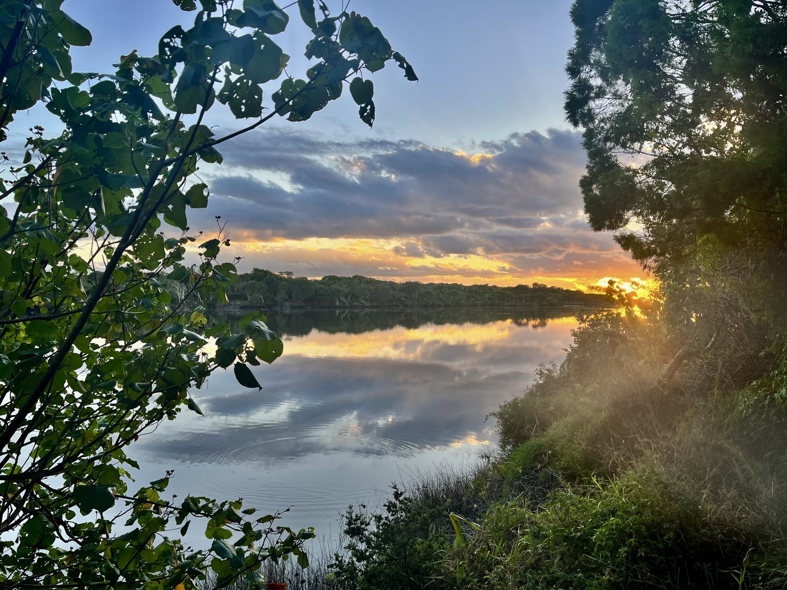 Sunshine Coast, Mooloolaba, Caloundra, Noosa hinterland
