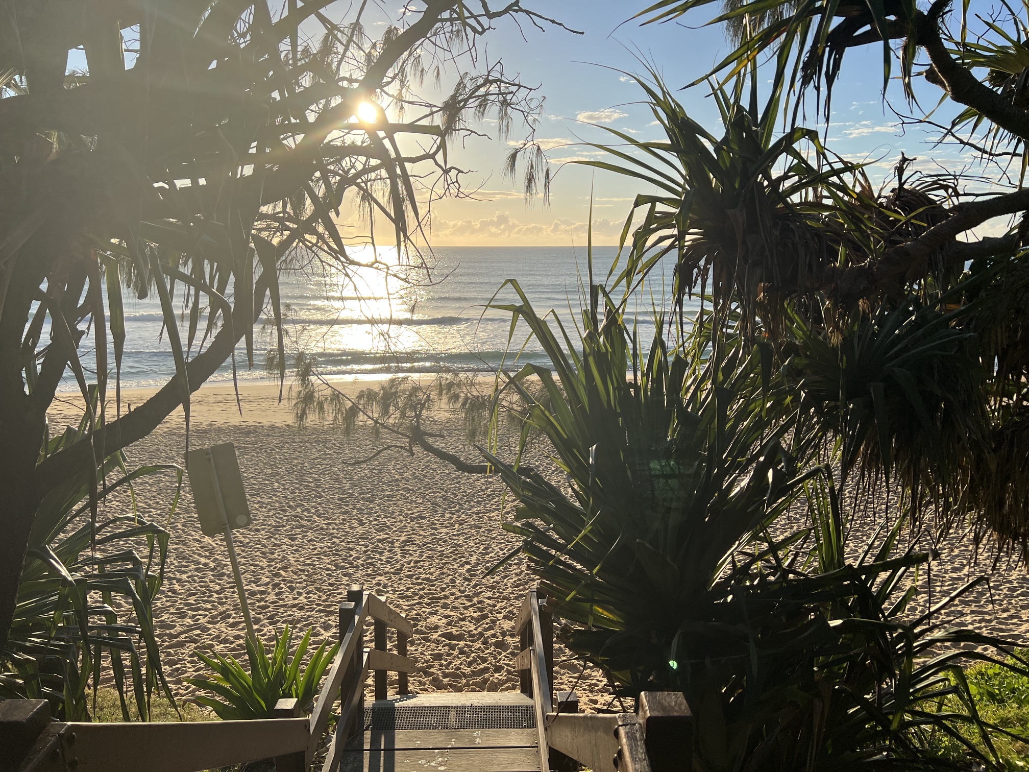 Queensland, AI Answers state wide automation studio